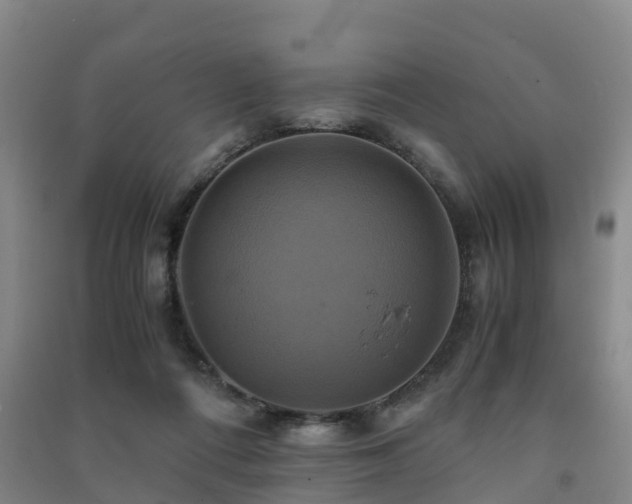 X0000091500312200708161504