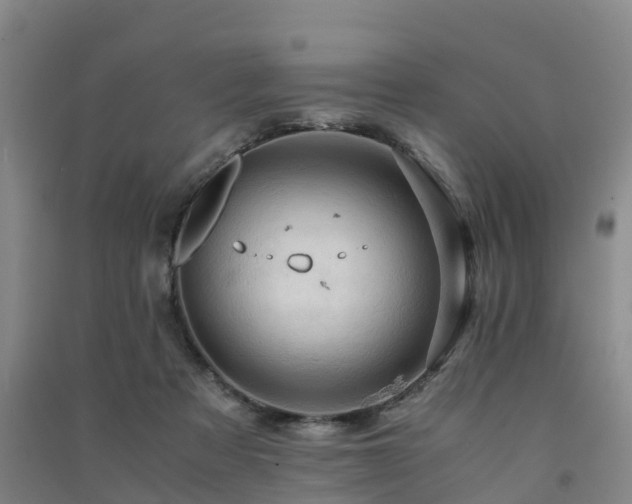 X0000091500313200708161504