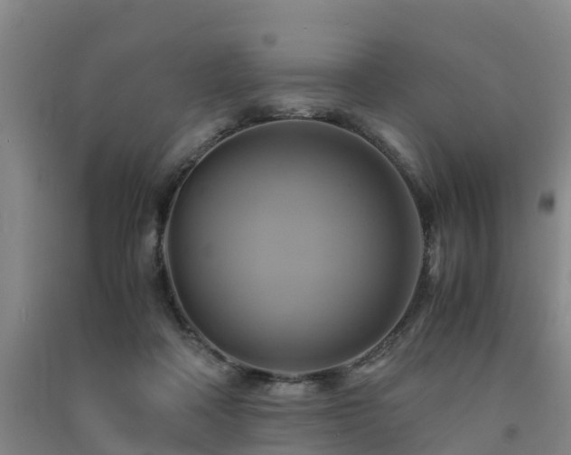 X0000091500314200708161504