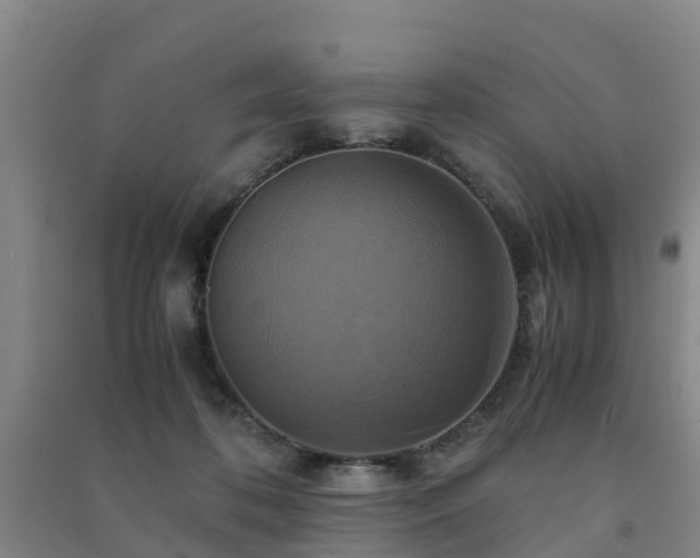 X0000091500316200708161504