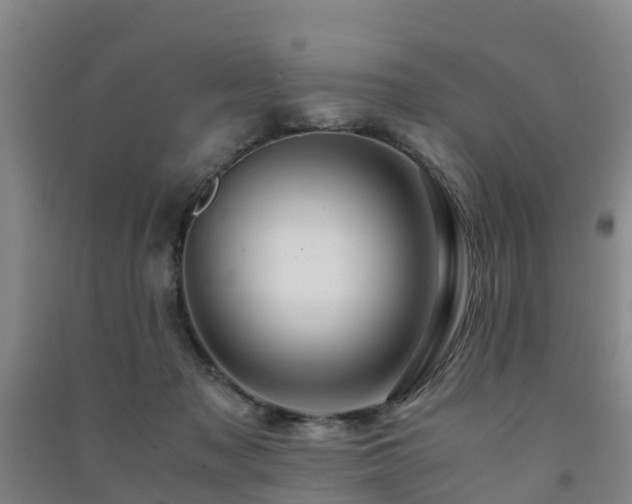 X0000091500317200708161504
