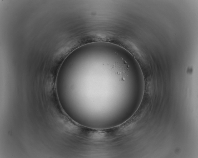 X0000091500318200708161504