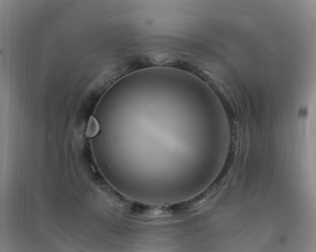 X0000091500319200708161504