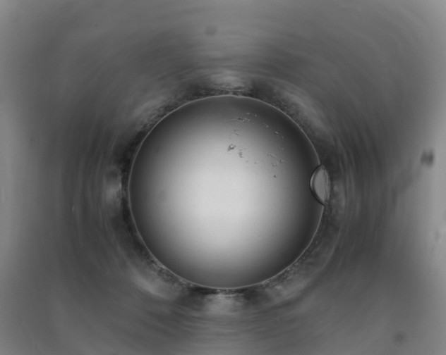 X0000091500320200708161504