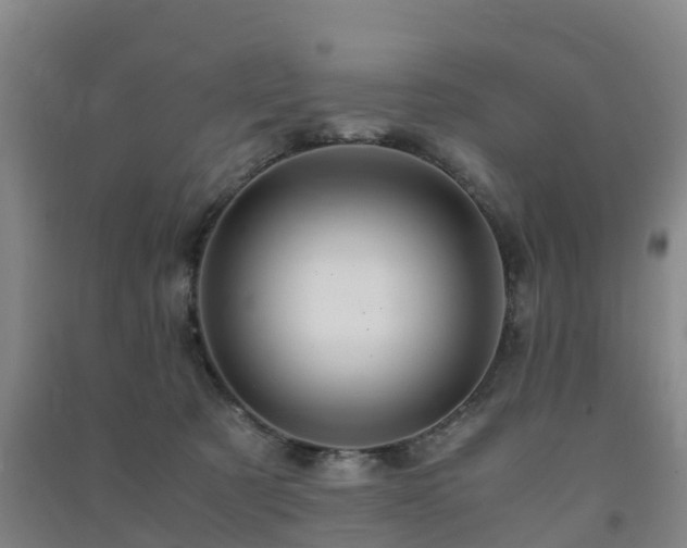 X0000091500321200708161504