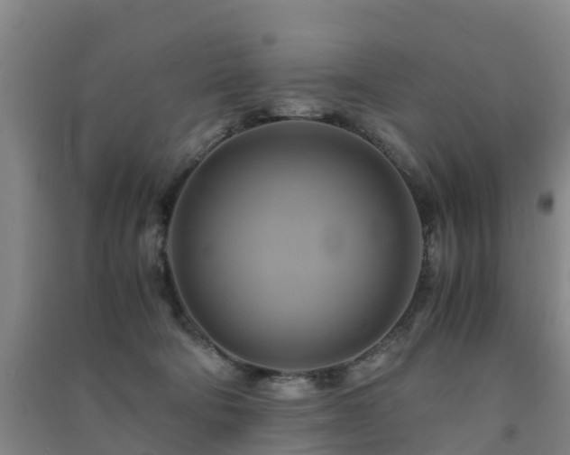 X0000091500322200708161504
