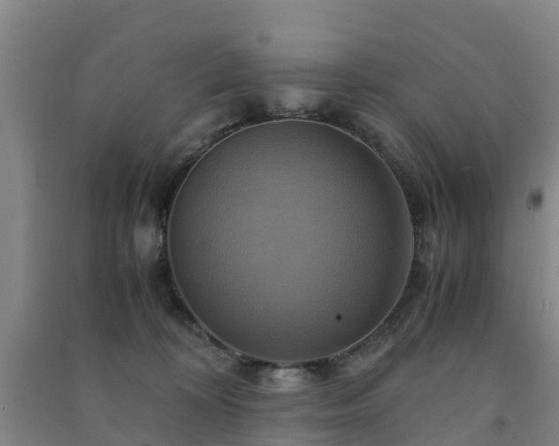 X0000091500324200708161504