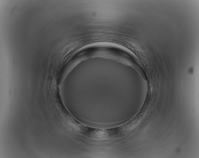 X0000091500325200708161504