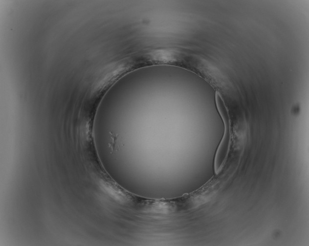 X0000091500330200708161504