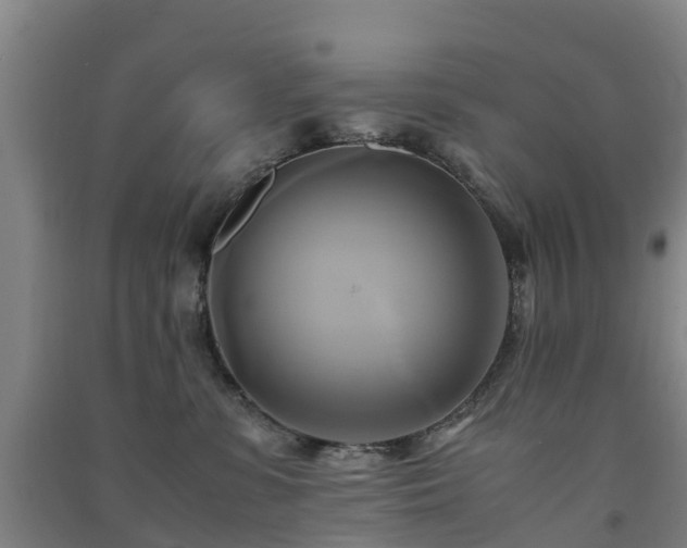 X0000091500331200708161504