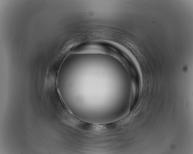 X0000091500333200708161504