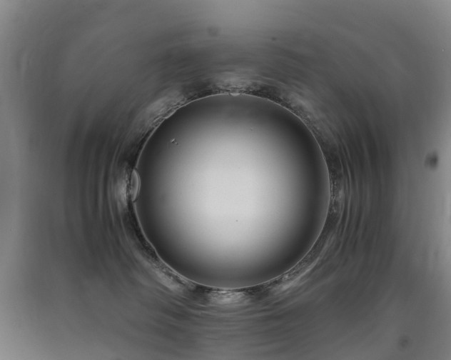 X0000091500334200708161504