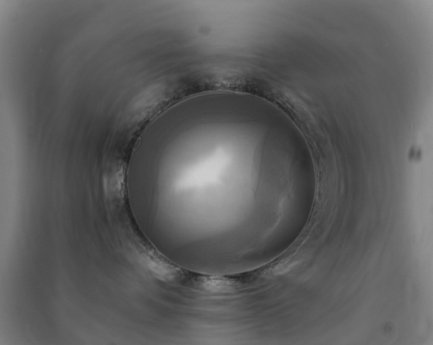 X0000091500336200708161504