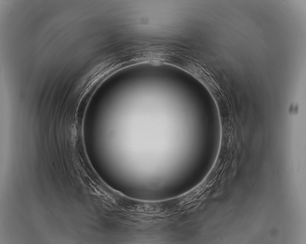 X0000091500338200708161503