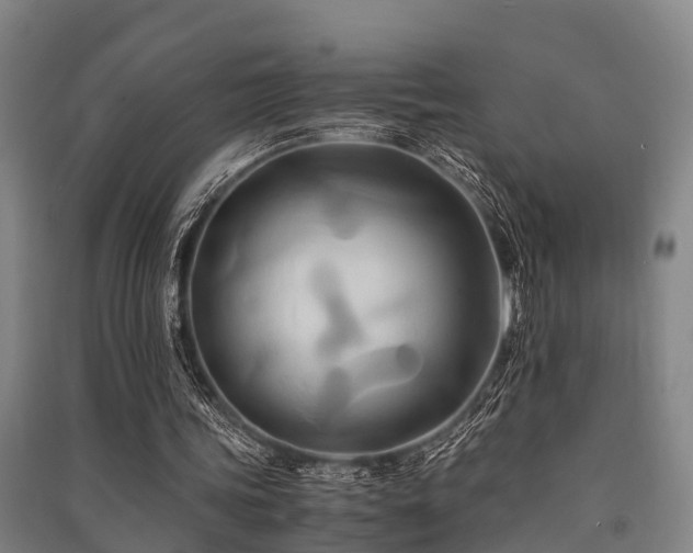 X0000091500339200708161503