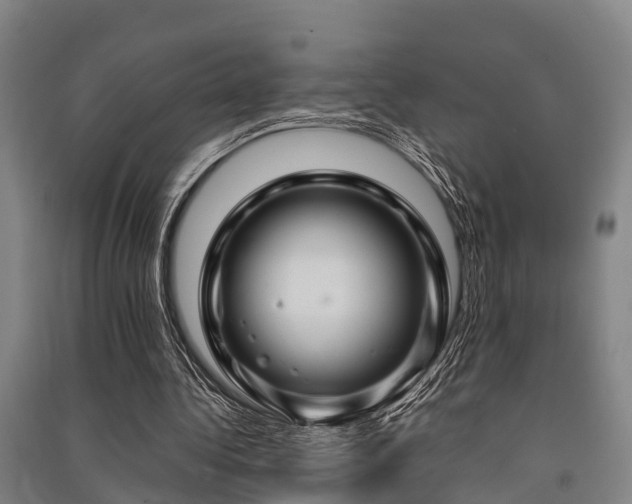X0000091500340200708161503