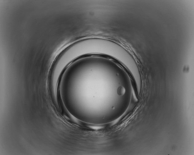 X0000091500344200708161503