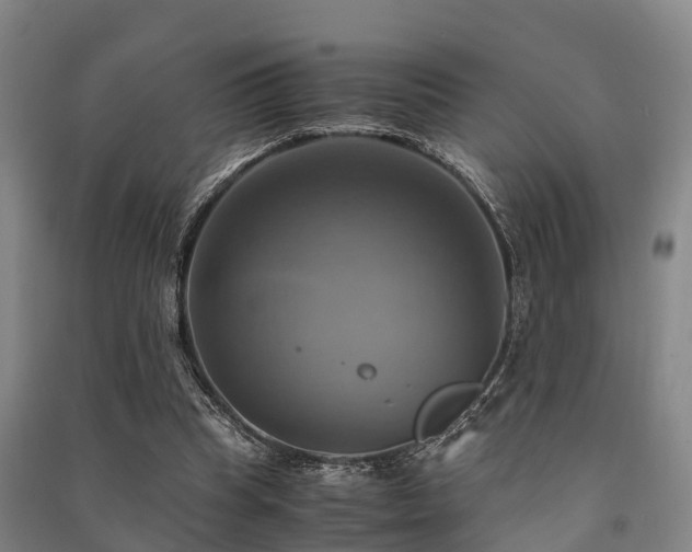 X0000091500345200708161503
