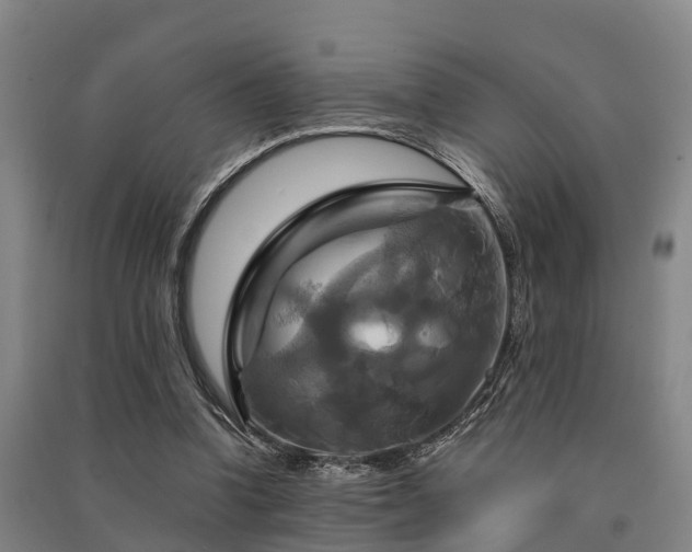 X0000091500346200708161503