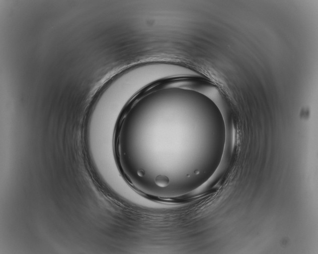 X0000091500348200708161503