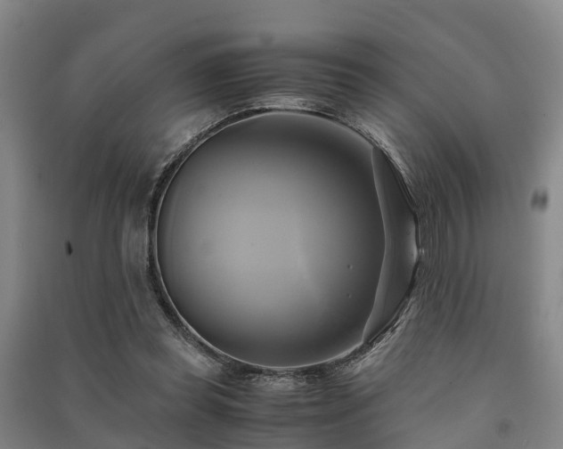 X0000091500349200708161503