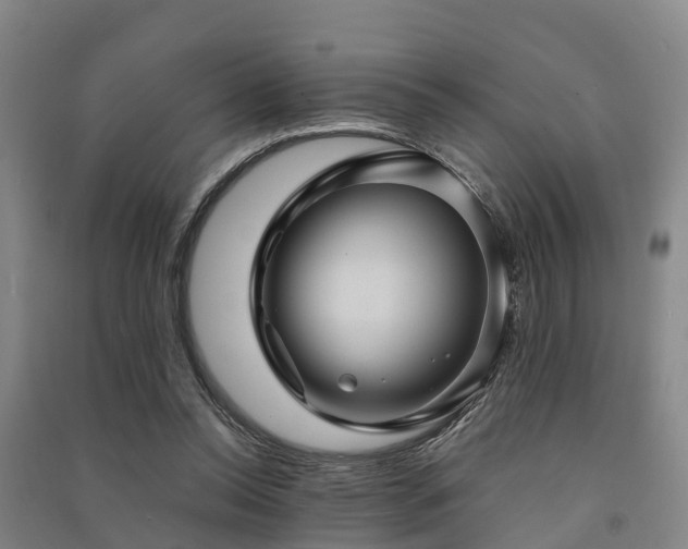 X0000091500350200708161503