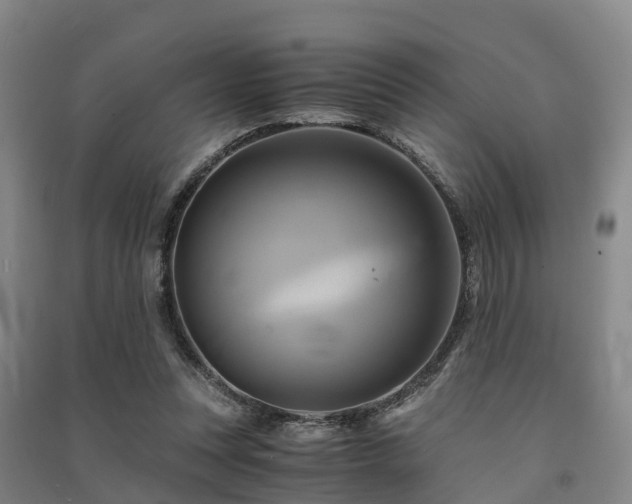 X0000091500351200708161503