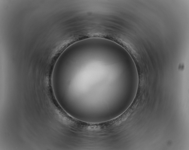 X0000091500353200708161503