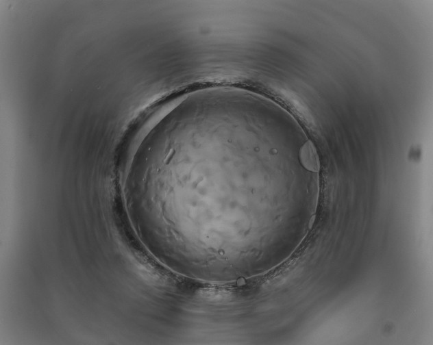 X0000091500354200708161503