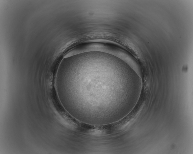 X0000091500356200708161503