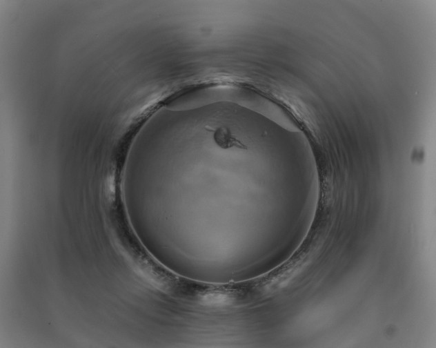 X0000091500358200708161503