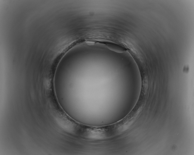 X0000091500359200708161503