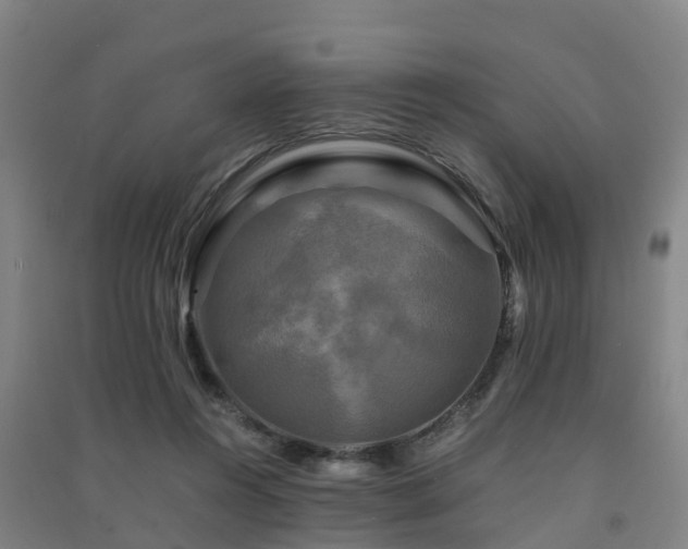 X0000091500360200708161503
