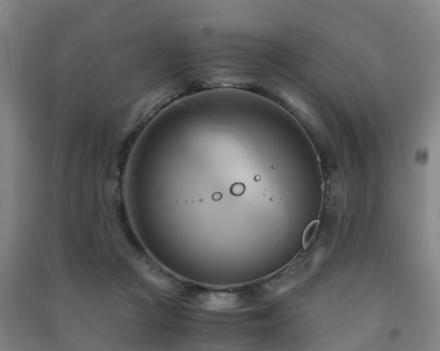 X0000091500361200708161503