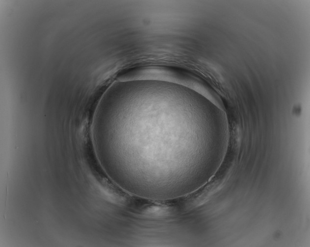 X0000091500364200708161503