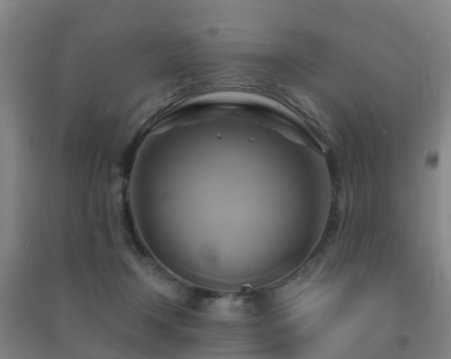 X0000091500366200708161503