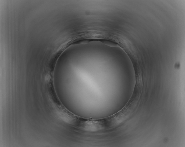 X0000091500367200708161503
