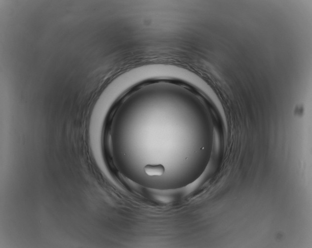 X0000091500368200708161503