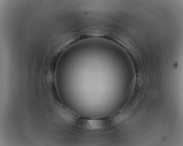 X0000091500371200708161503