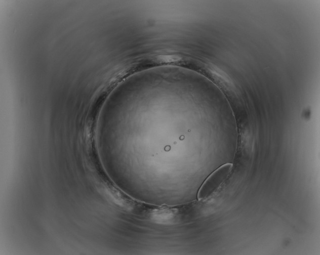 X0000091500373200708161504
