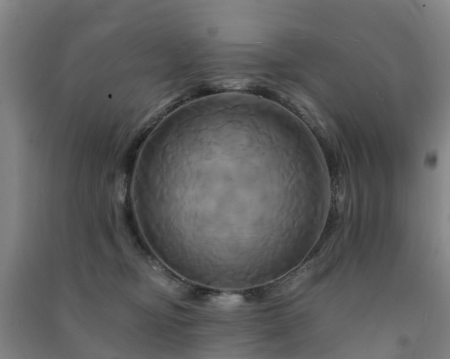 X0000091500374200708161504