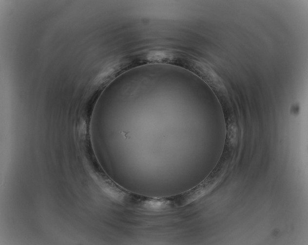 X0000091500375200708161504
