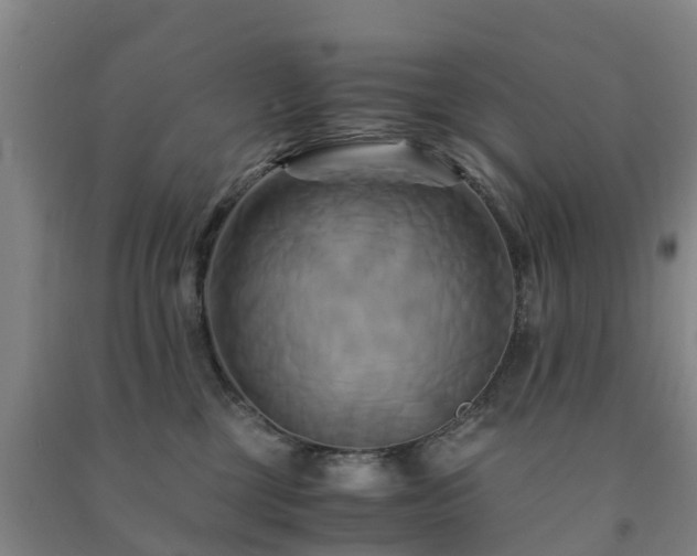 X0000091500377200708161504