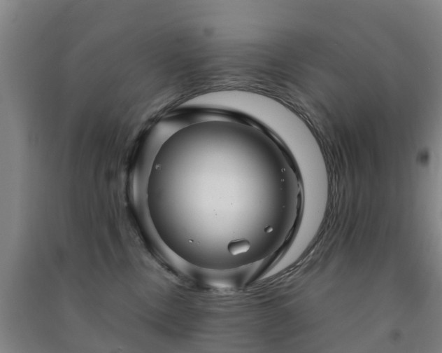 X0000091500378200708161504