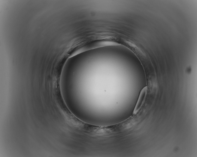 X0000091500379200708161504