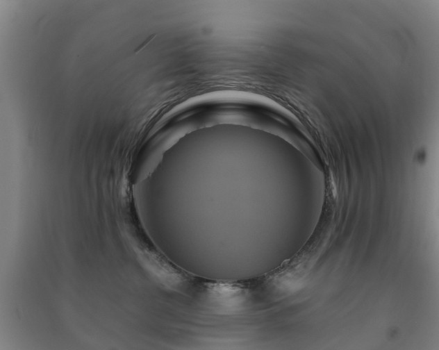 X0000091500380200708161504