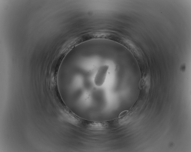 X0000091500381200708161504