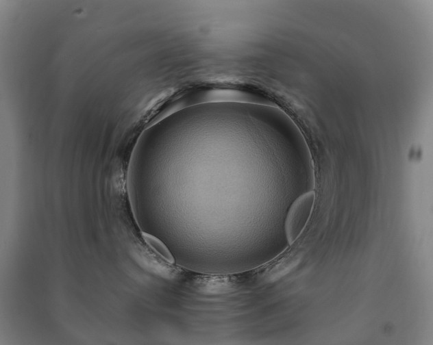 X0000091500384200708161504