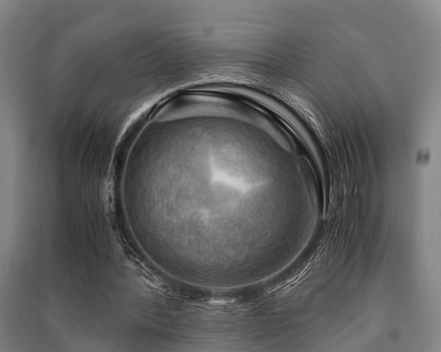 X0000091500388200708161503