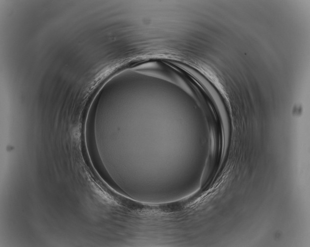 X0000091500389200708161503